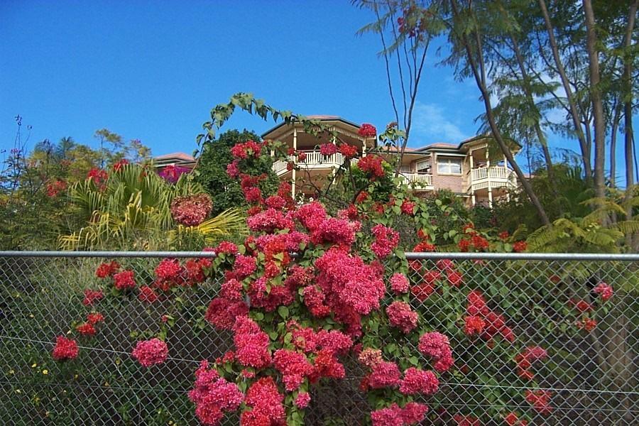 Apartamento Tranquill Garden Hideaway Ormeau Exterior foto